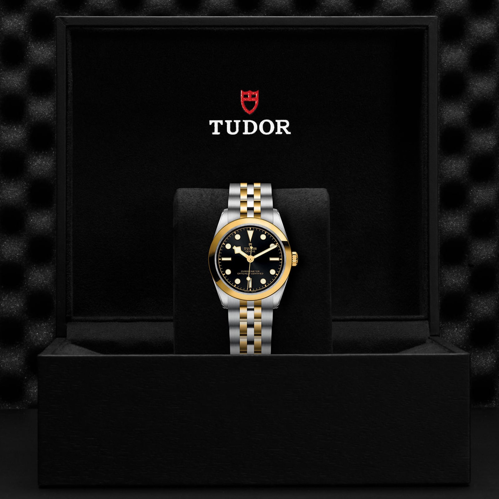 Tudor Black Bay One 31 S&G 31mm Steel Case Steel And Yellow Gold Bracelet Tudor Black Bay One 31 S&G 31mm Steel Case Steel And Yellow Gold Bracelet