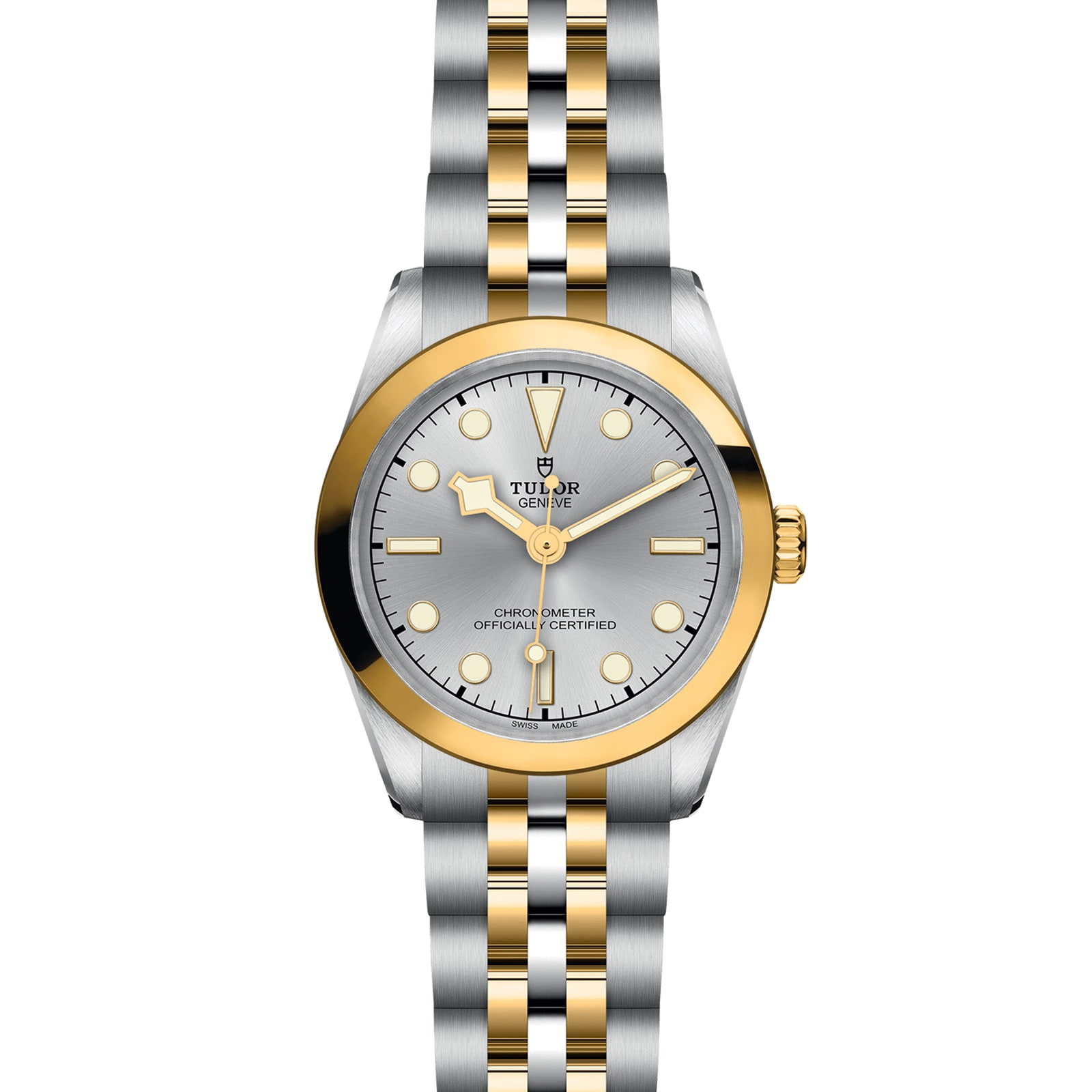 Tudor Black Bay 31