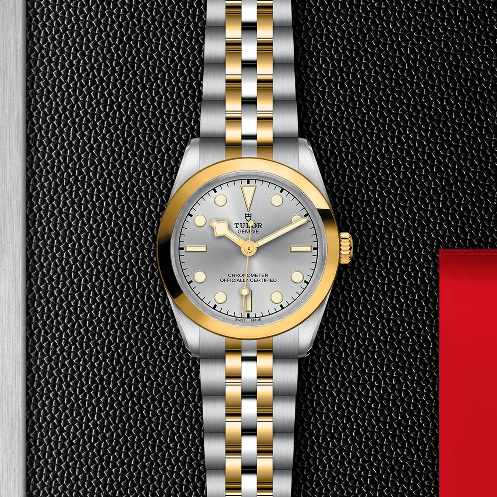 Tudor Black Bay 31