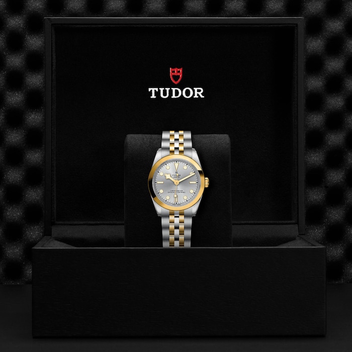 Tudor Black Bay 31