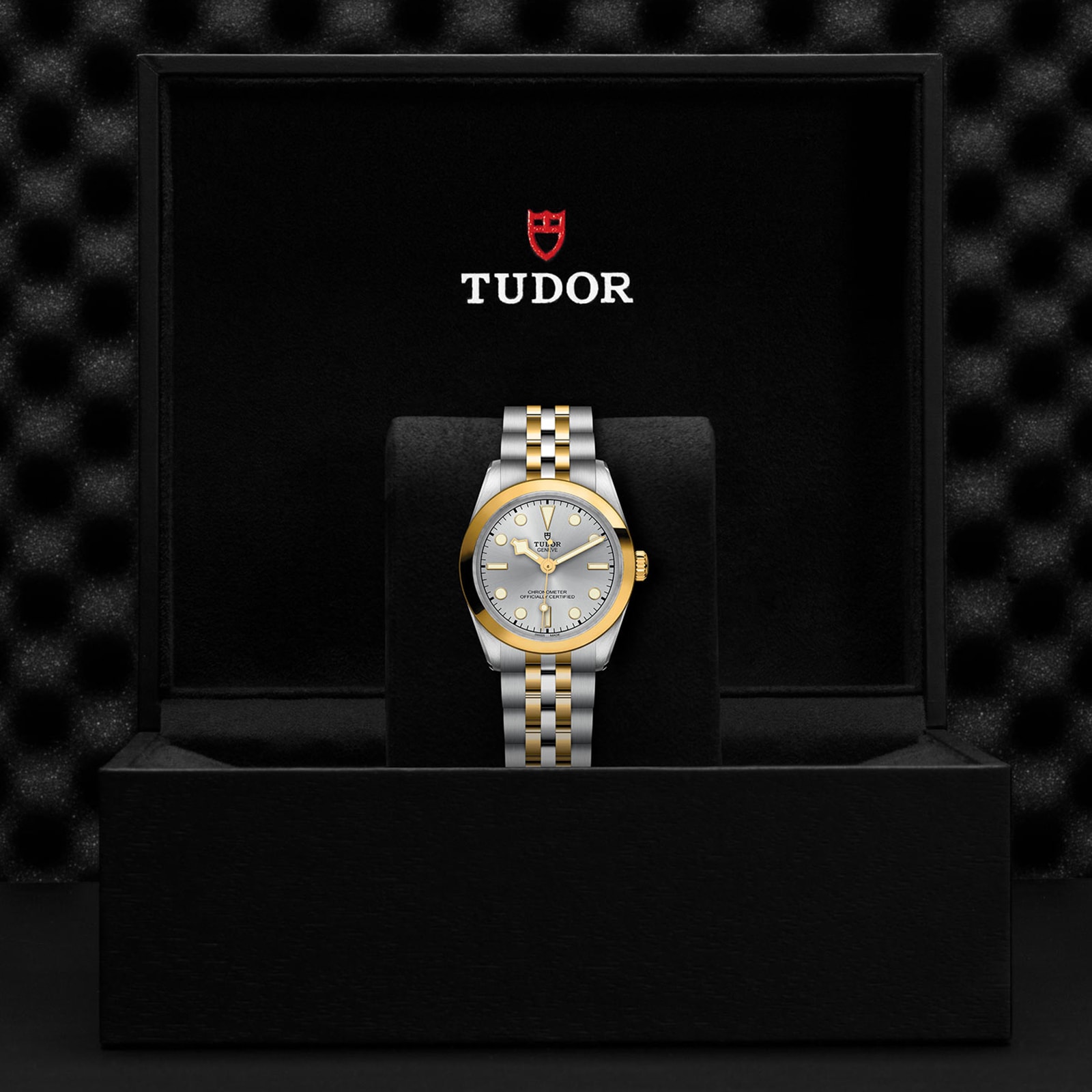 Tudor Black Bay 31