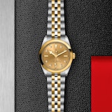 Tudor Black Bay One 31 S&G