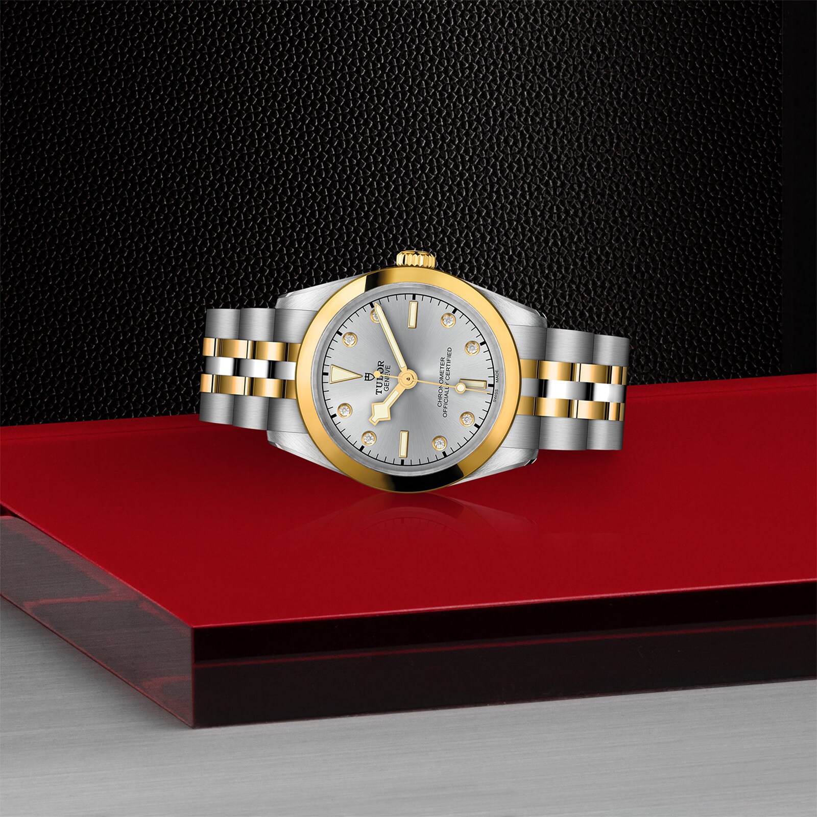 Tudor Black Bay One 31 S&G