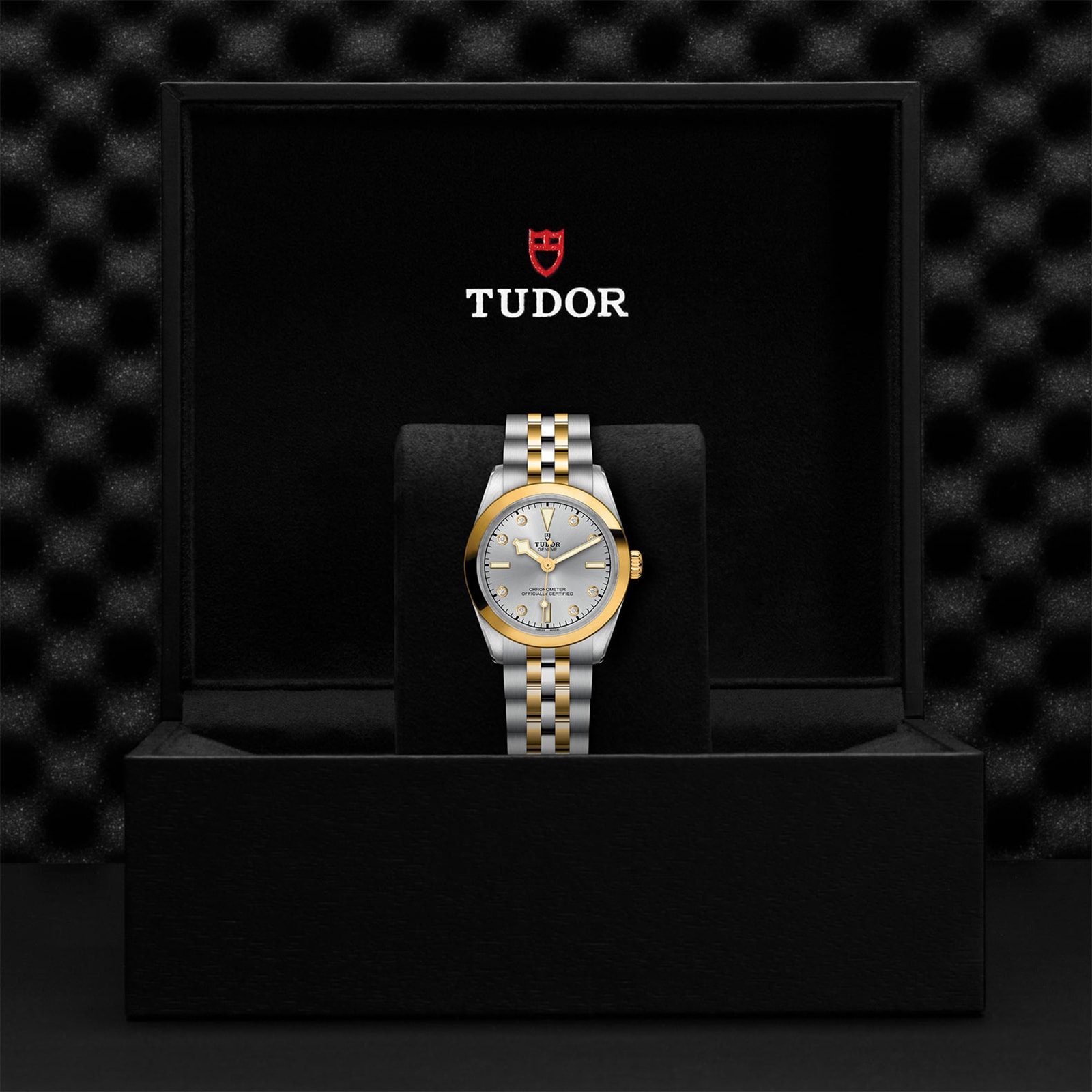 Tudor Black Bay One 31 S&G