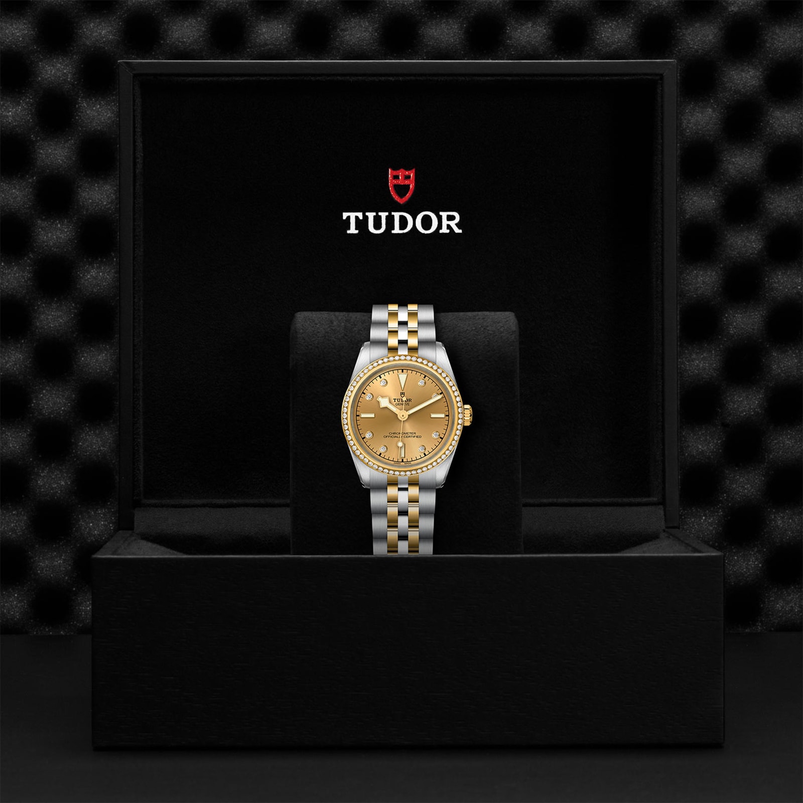 Tudor Black Bay One 31 S&G