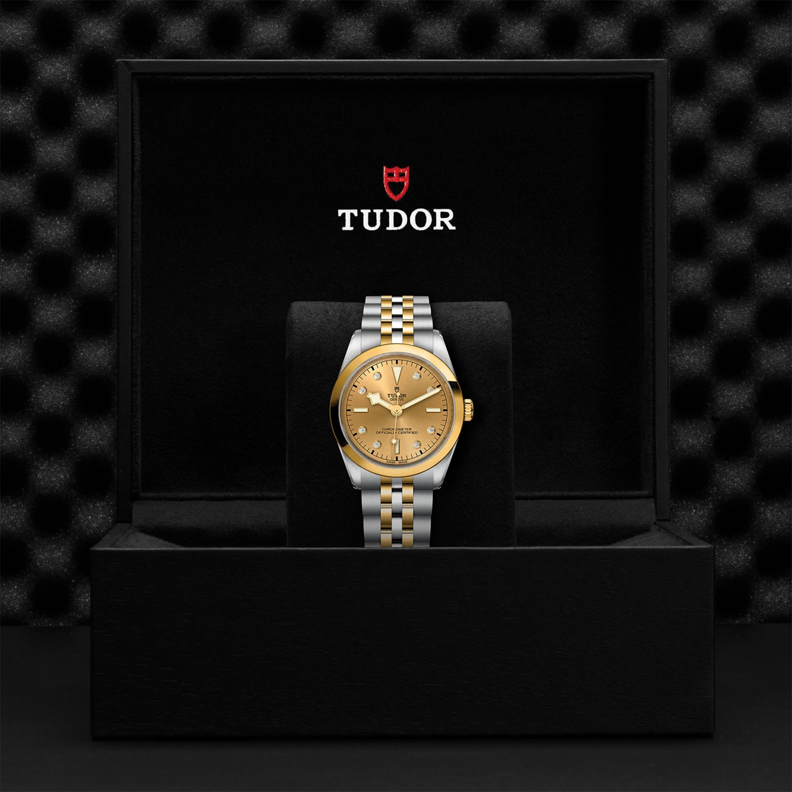 Tudor Black Bay One 36 S&G M79643-0008 | Mayors