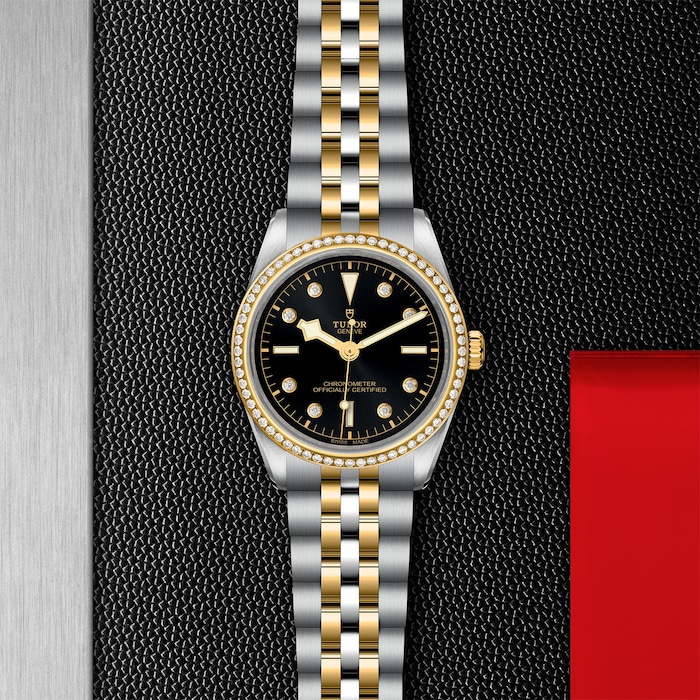 Tudor Black Bay 36 S&G