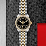 Tudor Black Bay 36 S&G