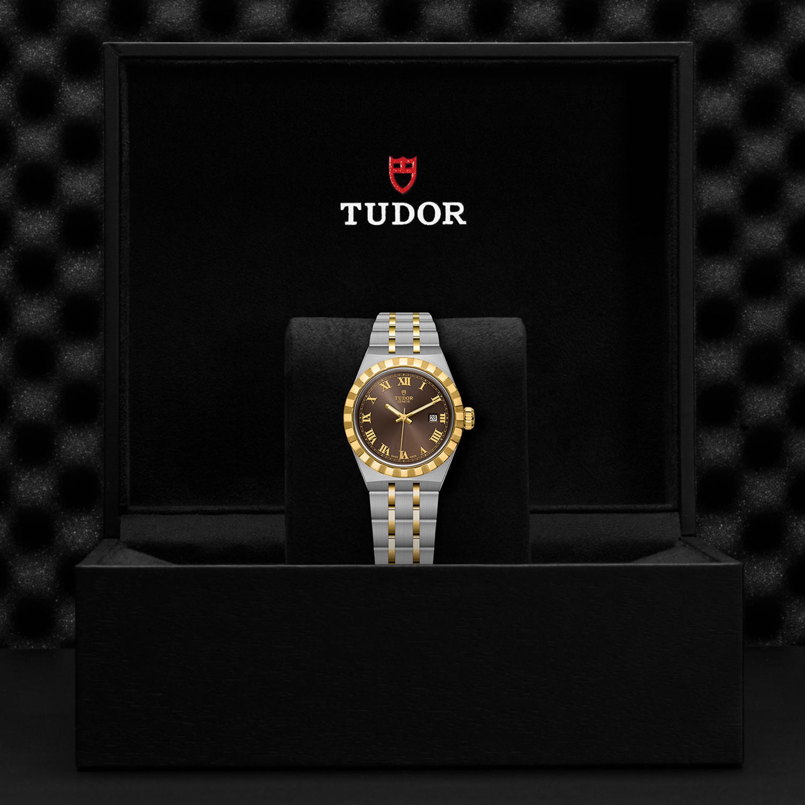 Tudor Royal S&G 28mm Steel Case Chocolate Brown Dial