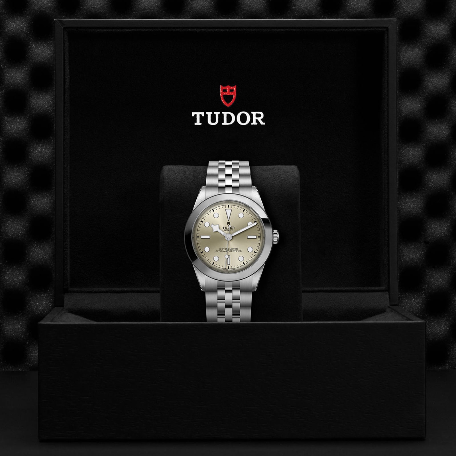 Tudor Black Bay 39 Manufacture Calibre MT5602 (COSC) 39mm Steel Case Steel Bracelet