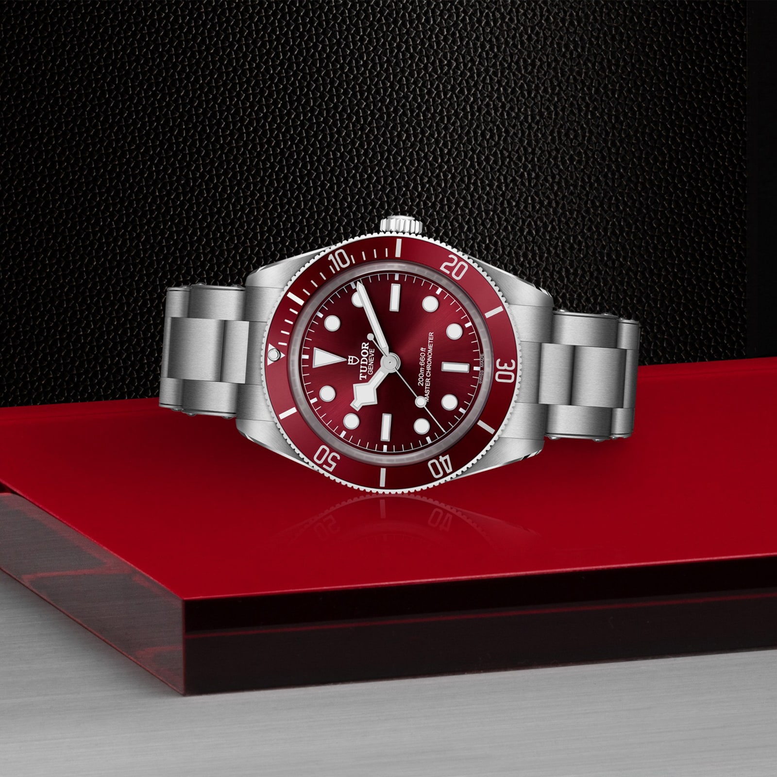 Tudor Black Bay 58 39mm Steel Case Burgundy Dial
