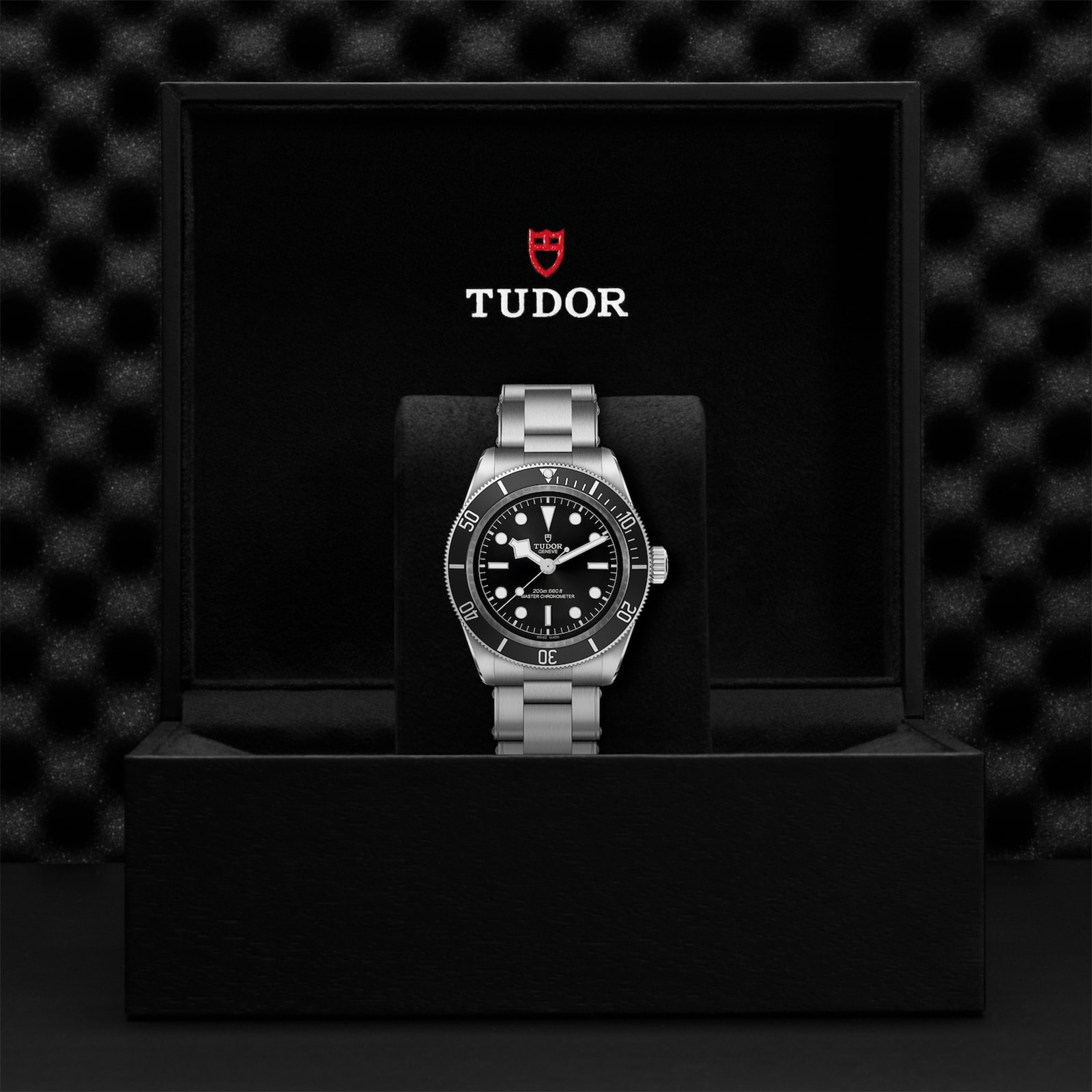 Tudor Black Bay 41mm steel case steel bracelet