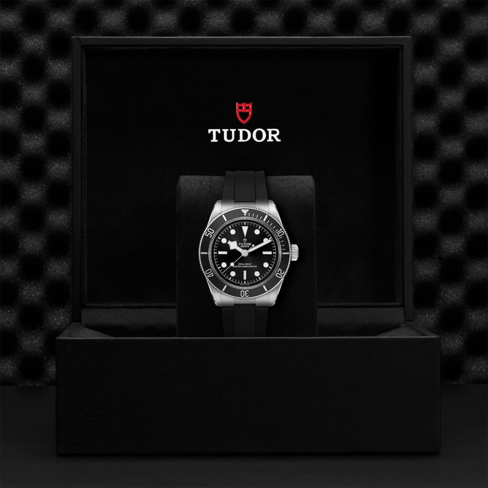 Tudor Black Bay 41mm steel case black rubber strap Tudor Black Bay 41mm steel case black rubber strap