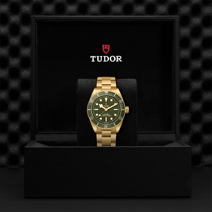 Tudor Black Bay 58 GMT 18K 39mm yellow gold case yellow gold bracelet