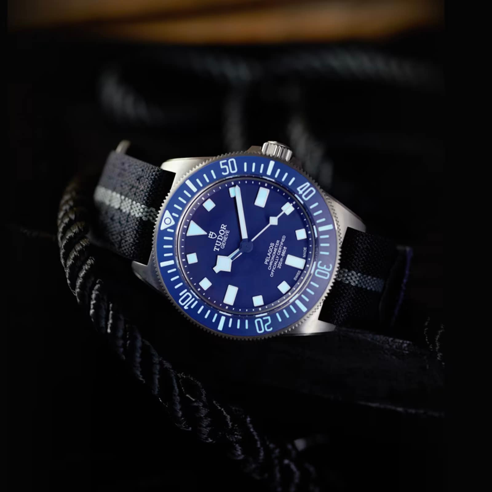 Tudor Pelagos FXD 42mm Mens Watch