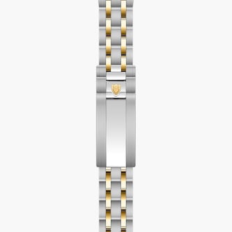 Tudor Royal 30mm Steel and Yellow Gold Case Watch Brown