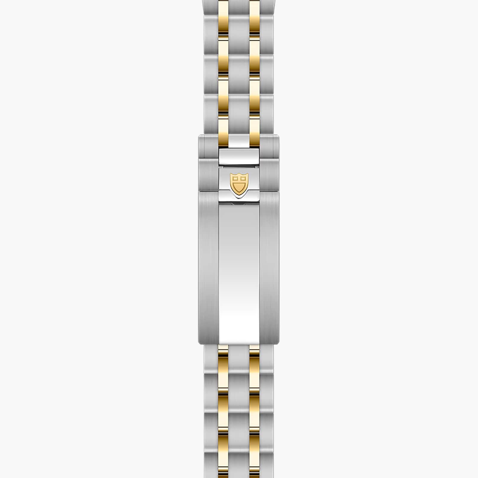 Tudor Royal 30mm Steel and Yellow Gold Case Watch Brown