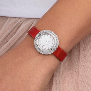 Piaget Possession