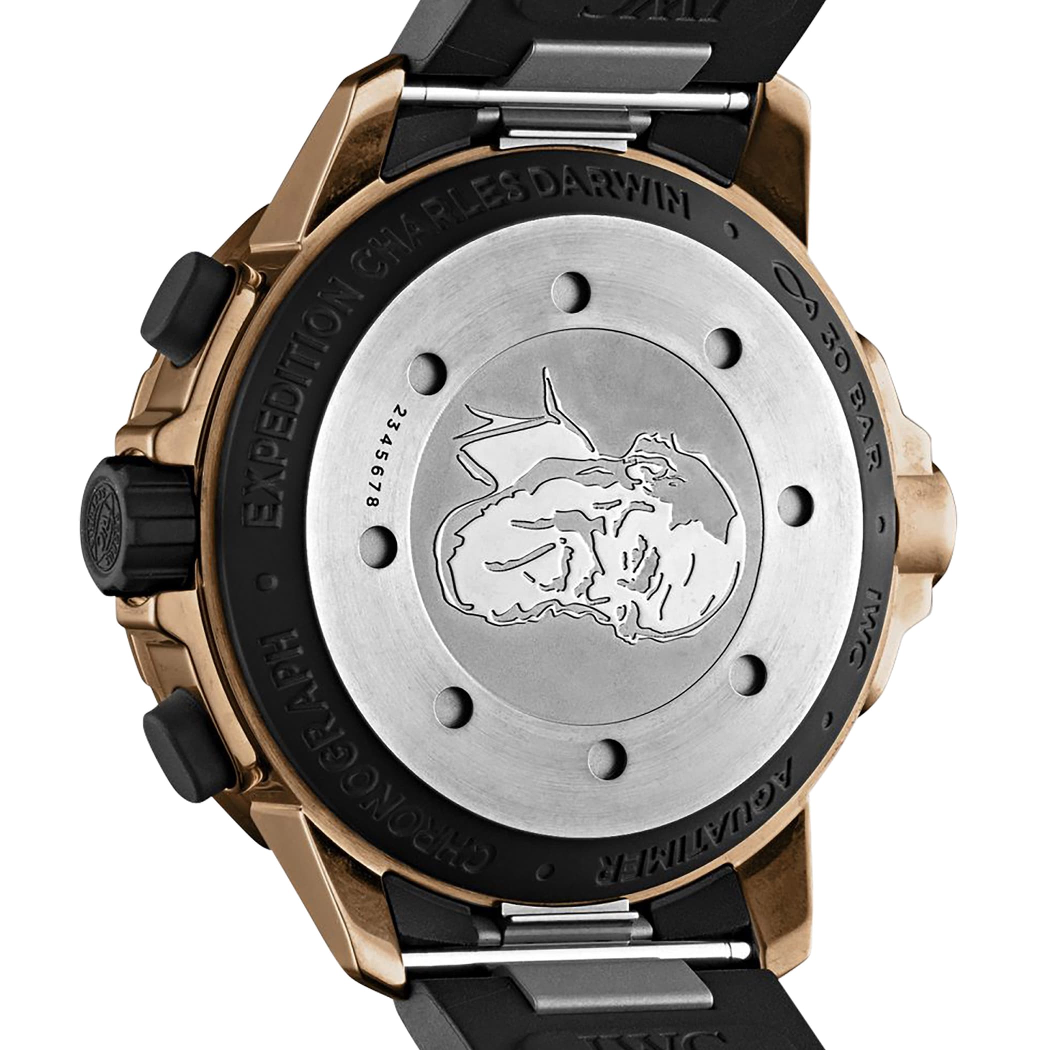 IWC Aquatimer 'Expedition Charles Darwin' 44mm Mens Watch IWC Aquatimer 'Expedition Charles Darwin' 44mm Mens Watch