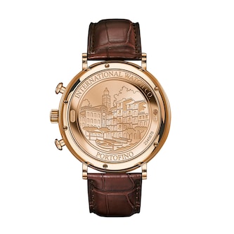 IWC Portofino 42mm Mens Watch IWC Portofino 42mm Mens Watch