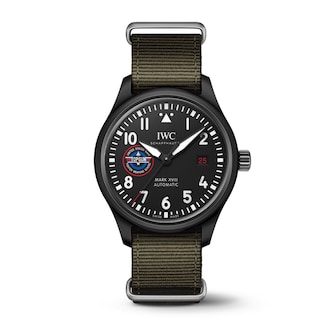 IWC Pilot's 41mm Mens Watches