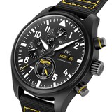 IWC Pilot's Watch Chronograph Edition “Royal Maces”