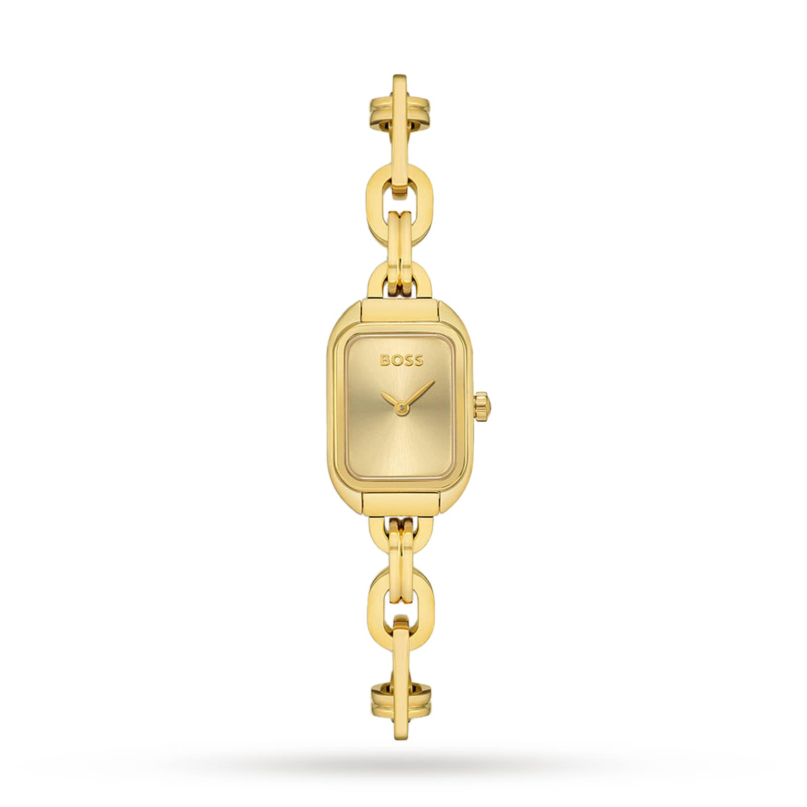 HUGO BOSS Watches Womens, Rose, Gold & Silver HUGO BOSS Ladies Watches