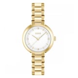 Boss Sena 34mm Ladies Watch Gold