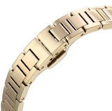 Emporio Armani Yellow Gold Ladies Watch