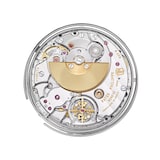 Patek Philippe Grand Complications