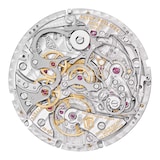 Patek Philippe Split Seconds Chronograph Perpetual Calendar