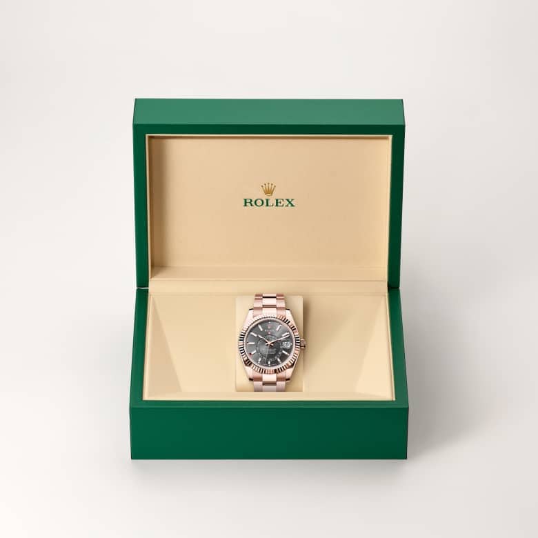 Sky-Dweller image
