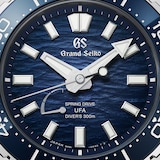 Grand Seiko Evolution 9 Spring Drive U.F.A Ushio 300 Diver 40.8mm Mens Watch Blue
