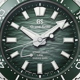 Grand Seiko Evolution 9 Spring Drive U.F.A Ushio 300 Diver 40.8mm Mens Watch Green