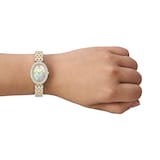 Tory Burch Oval Bicolour Ladies Watch