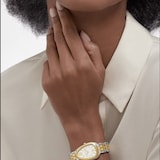 Bvlgari Stainless Steel & 18K Yellow Gold Serpenti Seduttori Watch