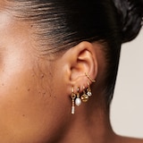 Monica Vinader MV Siren™ Muse Disc Mini Huggie Earrings In 18ct Gold Vermeil