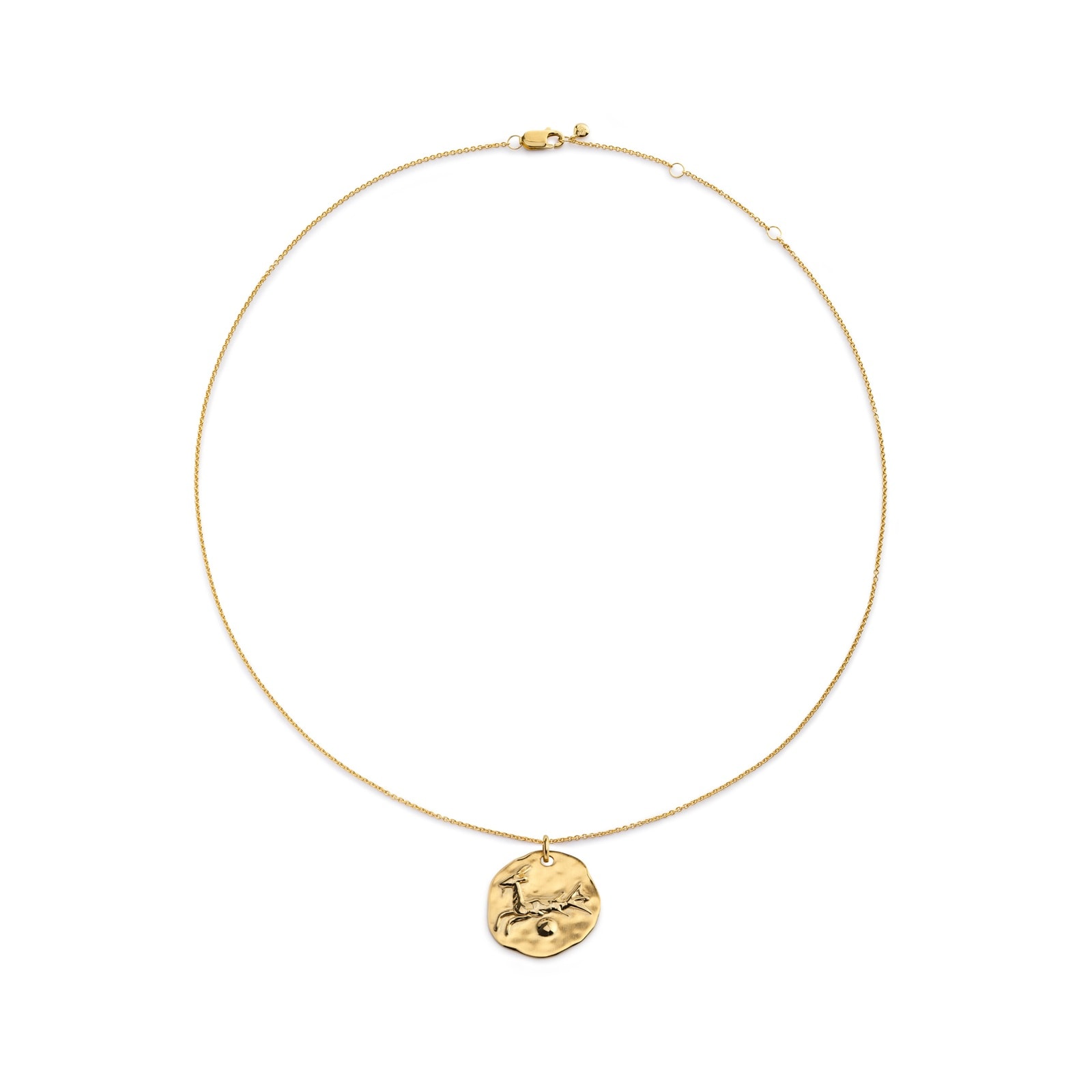 Capricorn Zodiac Chain Necklace In 18ct Gold Vermeil