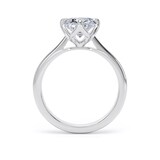 Goldsmiths Platinum Compass Set 3.00cttw Elongated Cushion Cut Lab Grown Diamond Solitaire Engagement Ring - Ring Size F.5