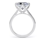 Goldsmiths Platinum Compass Set 7.00cttw Elongated Cushion Cut Lab Grown Diamond Solitaire Engagement Ring - Ring Size O.5