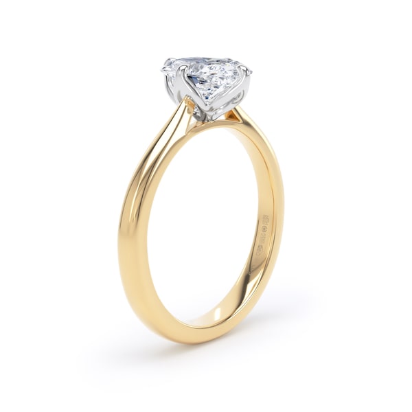 Go to product image 4 Go to product image 4