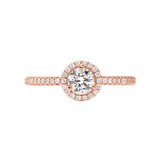 Michael Kors Ladies Rose Gold Coloured Cubic Zirconia Halo Ring - Ring Size P