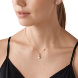 Michael Kors Rose Gold Plated Necklace & Earrings Box Set