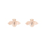 Ted Baker Beelii Bumble Bee Earrings