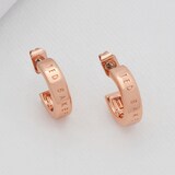 Ted Baker Rose Gold Coloured Helenna Nano Logo Hoopla Earrings