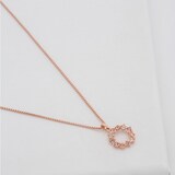 Ted Baker Rose Gold Coloured Cresar Crystal Hoop Pendant