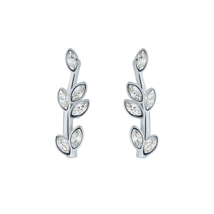 Ted Baker Ladies Silver Coloured Crystal Stud Earrings