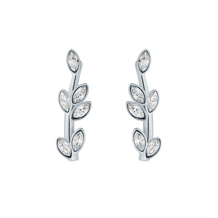 Ted Baker Ladies Silver Coloured Crystal Stud Earrings