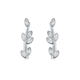 Ted Baker Ladies Silver Coloured Crystal Stud Earrings