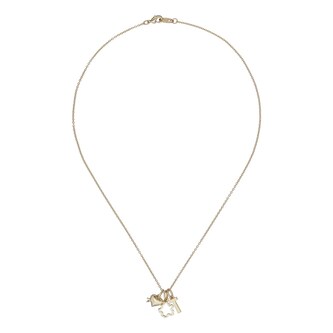 Ted Baker Amyas Charmed Yellow Gold Coloured Choker Gift Set 45cm Necklace Ted Baker Amyas Charmed Yellow Gold Coloured Choker Gift Set 45cm Necklace